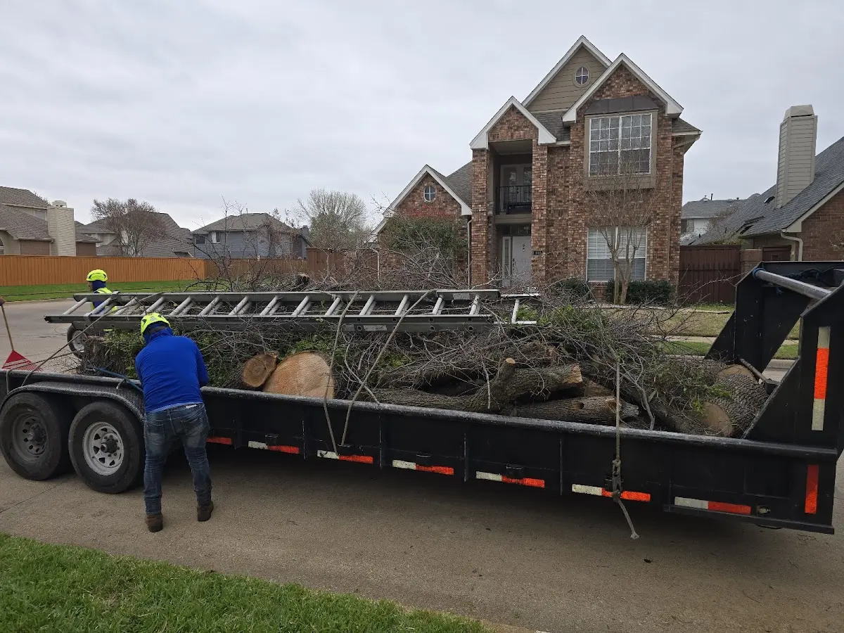 Expert Tree Fertilization with proper safety equipment in Prospect